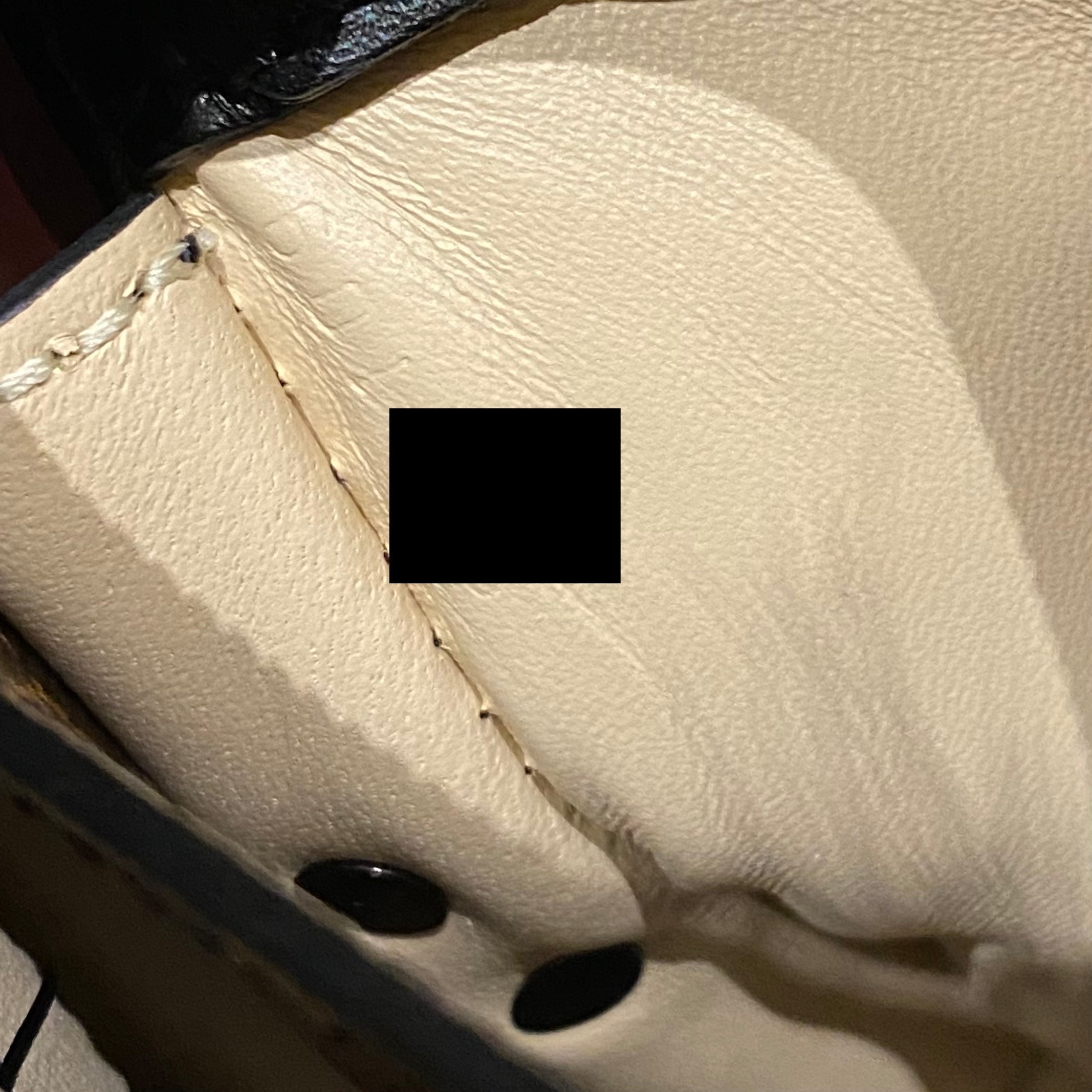 TRUNK CLUTCH BAG MONOGRAM