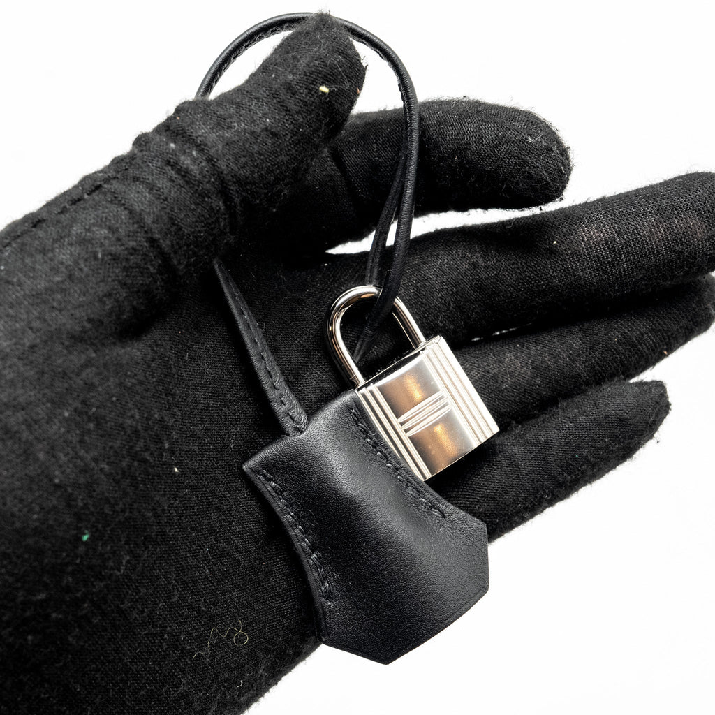HERMES BIRKIN 25 CARGO TOILE GEOLAND/SWIFT BLACK SHW