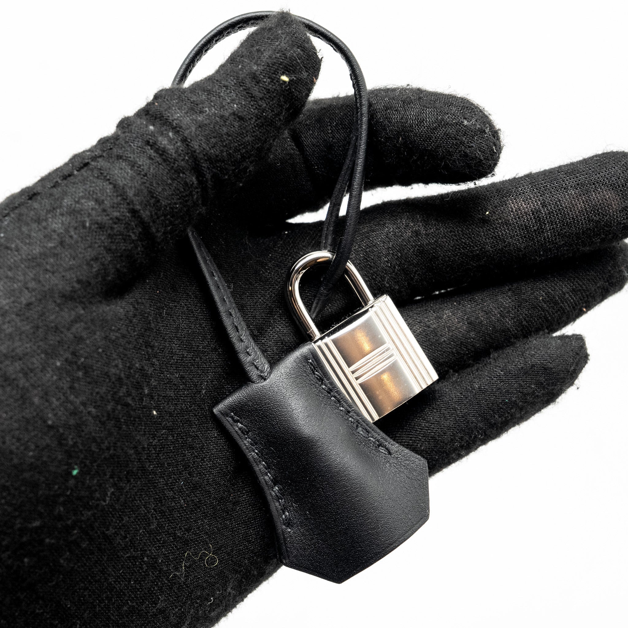 HERMES BIRKIN 25 CARGO TOILE GEOLAND/SWIFT BLACK SHW