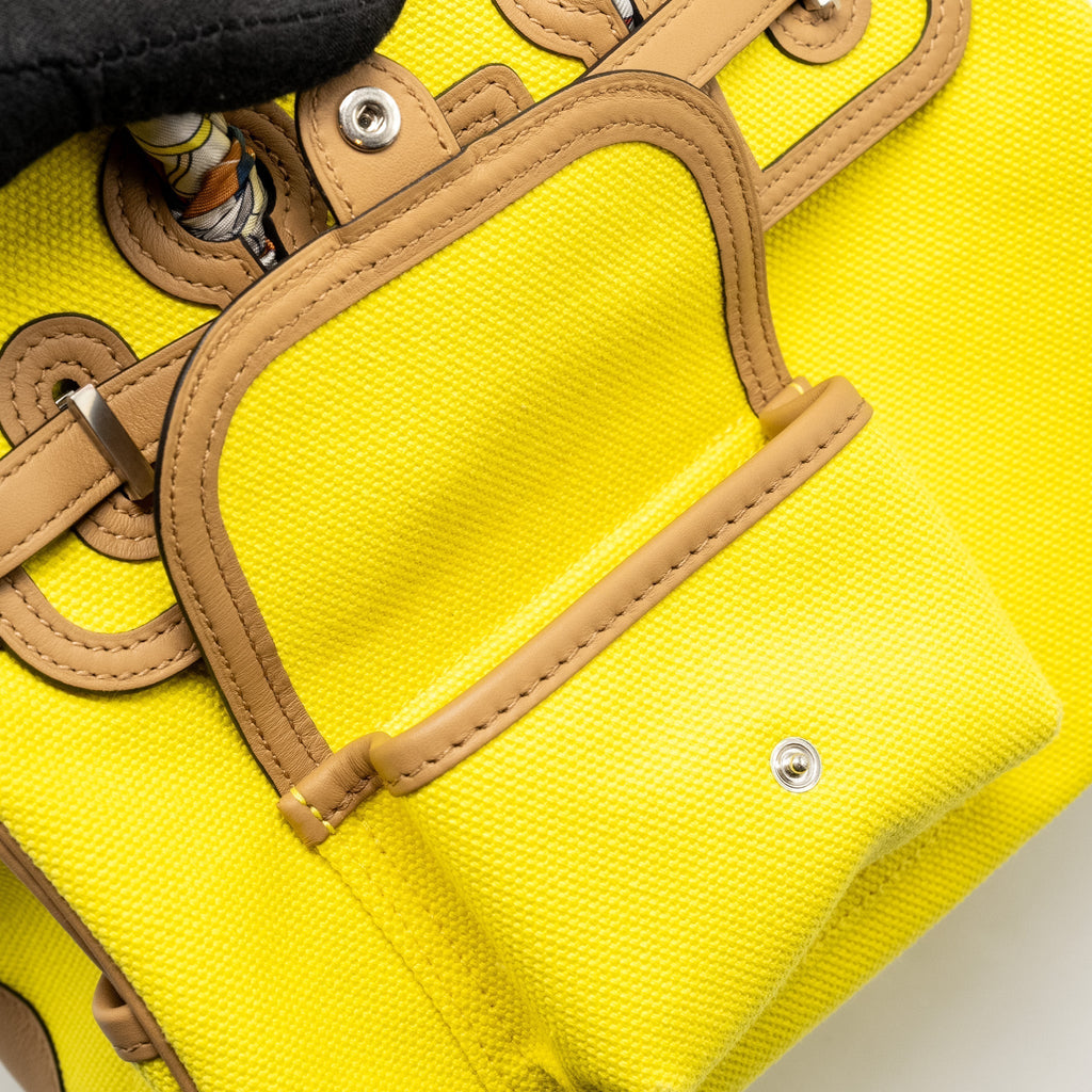 HERMES BIRKIN 25 CARGO TOILE GOELAND / SWIFT JAUNE CITRON / CHAI SHW